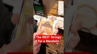 The BEST Strings For A Mandolin!