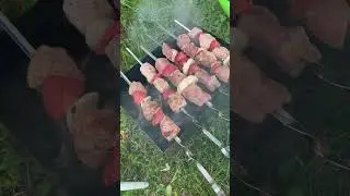 Спалила#shortvideo #кавер #готовимдома #шашлык