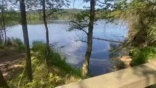 Озеро затопленного рудника в горах Славского леса