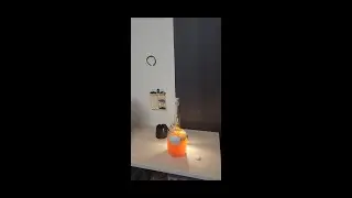 Daily Mead Chores