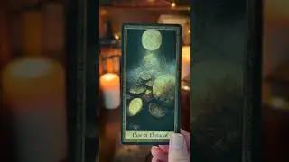 Big Abundance Is Here For You 🍀 | #tarot #tarotreading #tarotcardreading