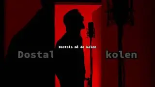 Když máš ráda Steina27 a zároveň i Rock