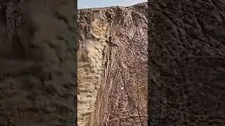#bikelover