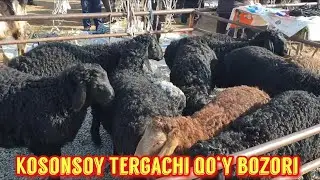 Kosonsoy tumani Tergachi chorva bozori qo‘ylari. 11 02 2022.