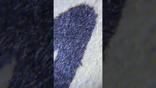 60x zoom on sharpie marker