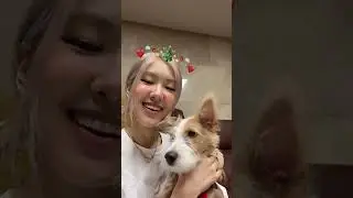 Rosé Live Ig ( Merry christmass ) Full 20201225