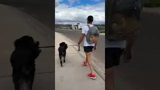Real men wear a cat backpack 