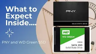 What to Expect inside the Box of PNY and WD SSD?