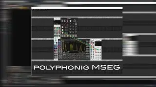 Bitwig polyphonic MSEG II