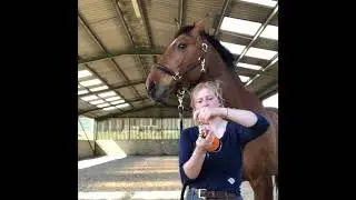 Charlotte Cutler and Bombers Bits