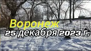 Воронеж, 25 декабря 2023 г