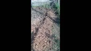 Копаем траншею под кабель  Работа кипит 3