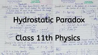 Hydrostatic Paradox | Chapter 9 | Mechanical Properties of Fluids | Class 11