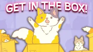 Fitting as many Cats in Boxes as I CAN!