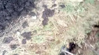 Покатушки на Дт-75