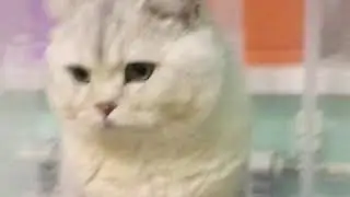 Монтаж