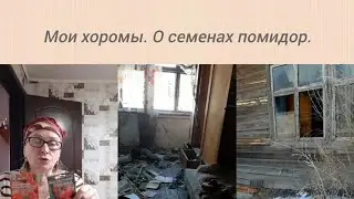 Воскресные хлопоты.