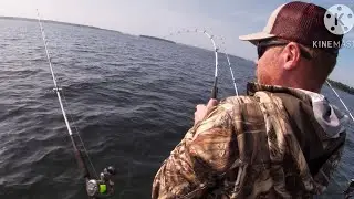 CONTROLLED CHAOS! STRIPER FISHING LAKE MURRAY