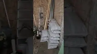 #бывшая