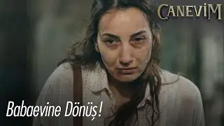 Büyük kavuşma! - Canevim
