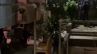 מבצע משטרתי מיוחד להברחת חלאות