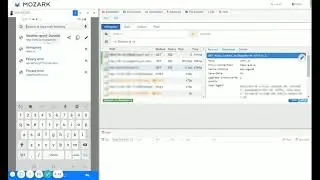 API Interception with App Interact