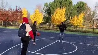pe Basketball Project