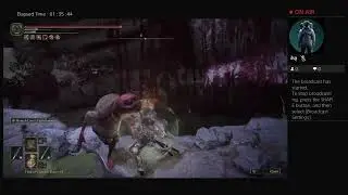 Killing Radagon!