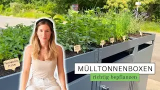 Mülltonnenboxen richtig bepflanzen - New Home Serie Teil 10