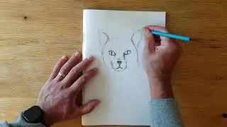 Draw a cat's face