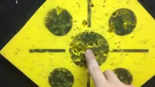 365 Target Torture Test Update #2