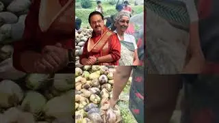 தென்னமர தோப்புக்குள்ள குயிலே SPB✨Janagi
