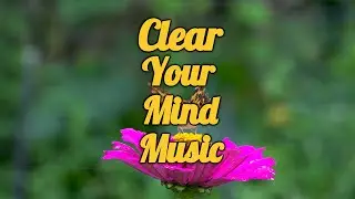 7 minutes relaxation music, meditation music