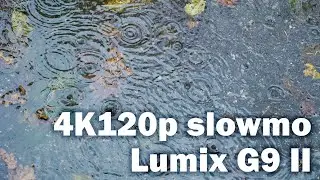 4K120p slow-motion: Lumix G9 II Test (Rain in Forest)