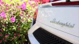 From BMW to Rolls Royce, Select Luxury Cars Makes Dreams Come True