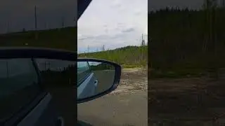 туалет, типа сортир