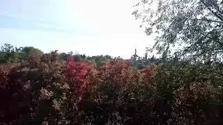 Змиёвская балка