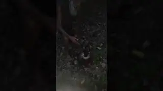 Начальник экспедиции нашел самый большой цветок в мире.