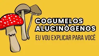 TUDO O QUE VOCÊ PRECISA SABER SOBRE COGUMELOS ALUCINÓGENOS E PSILOCIBINA
