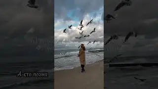 Силуан Афонский. О благодати