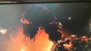Игра про ори 12