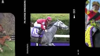 2023 PA BRED BILLBOARD FOR FANDUEL RACING FEB 14
