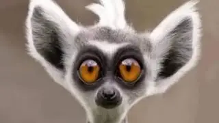 😳🤯 ПАУЗА ИЛИ ОКОНЧАНИЕ ⁉️🤔