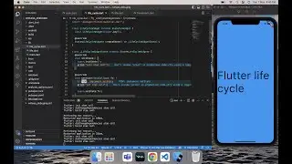 Flutter life cycle