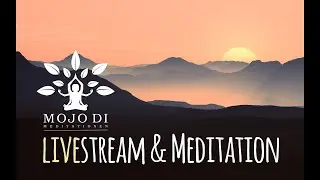 Aufzeichnung: Krafttier Meditation + Unboxing 3 vegane Boxen!