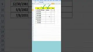 Excel TEXT Function | TEXT Function of Excel #excelshorts #excelshortcuts