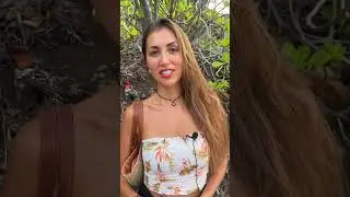 Не едь на Бали, пока не посмотришь это видео #бали #бали2023 #азия #shorts #ужасынабали