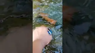 Колымские ручьи 💧 