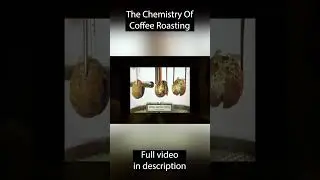 Exothermic Reaction In Coffee Roasting 