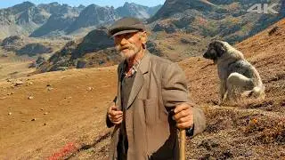 The Last Shepherd in Anzer - The Lonely Man in the Mountains | Documentary